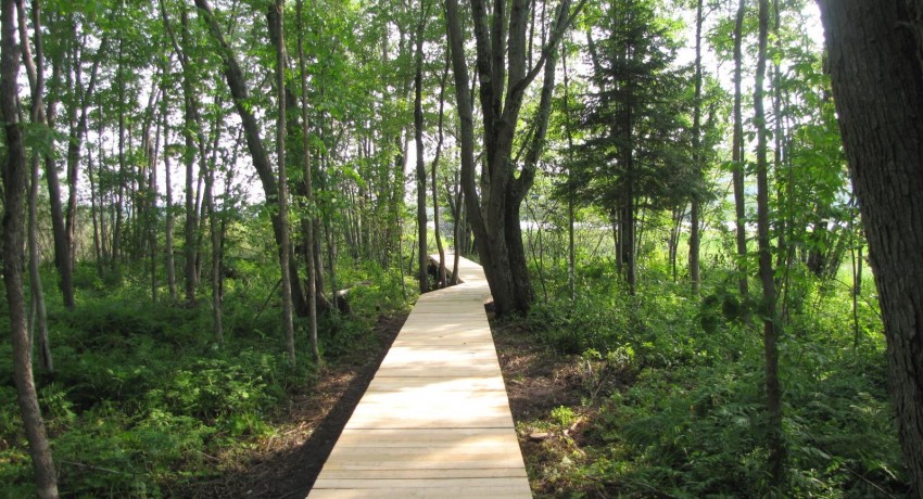 OBSERVATOIRE ÉTANG STATER-PROLONGEMENT DE LA PASSERELLE