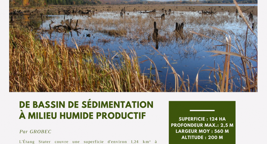 L'ÉTANG STATER - Mois de l'eau - Juin
