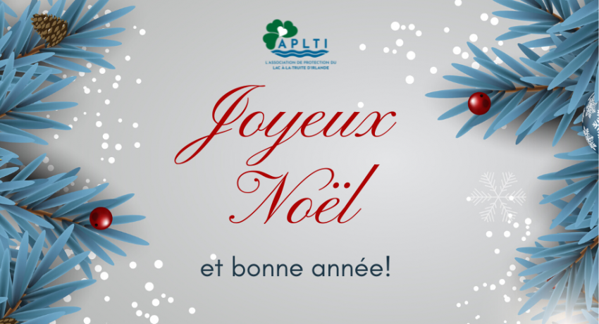 L'APLTI vous souhaite de joyeuses Fêtes