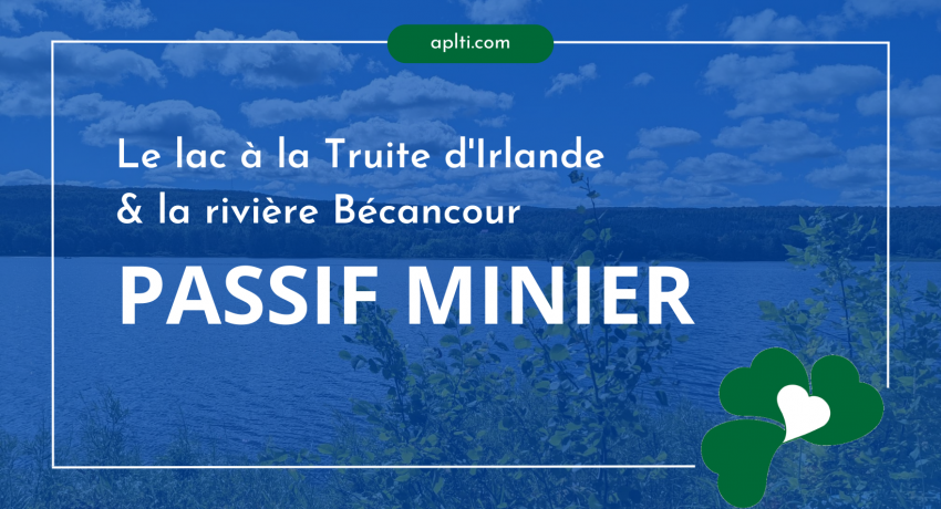LAC À LA TRUITE D'IRLANDE - PASSIF MINIER