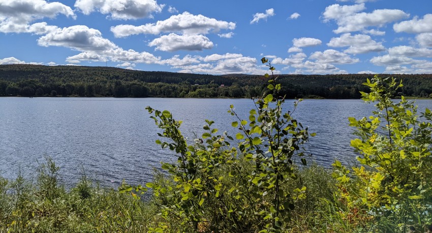 COMMUNIQUÉ - L’APLTI souligne dix ans de lutte