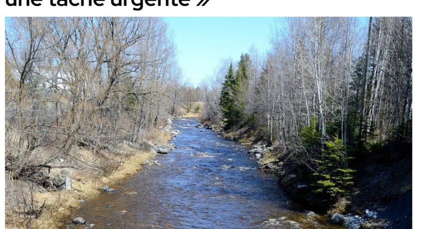 Lette ouverte Courrier Frontenac : « La rivière Bécancour, une tâche urgente » Bernard DRAINVILLE