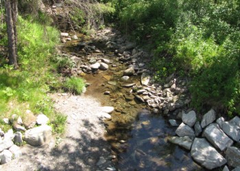 LA MAJORITÉ DES BANDES RIVERAINES SONT CONFORMES À IRLANDE