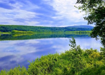LA PROTECTION DU LAC À LA TRUITE : TOUJOURS AU GOÛT DU JOUR