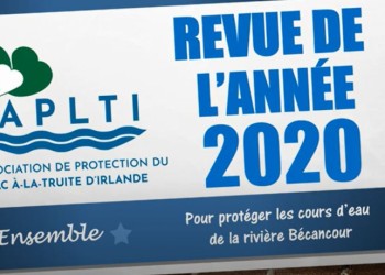 L'année 2020 en revue