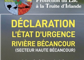 DÉCLARATION DE L'ÉTAT D'URGENCE