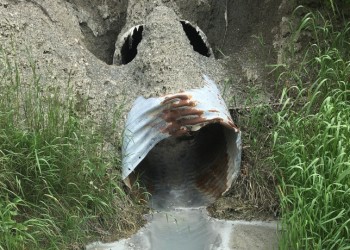 JUIN - MOIS DE L'EAU - DEUX DÉVERSEMENTS