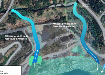 Étude hydrogéomorphologique de la rivière Bécancour (secteur Black Lake)