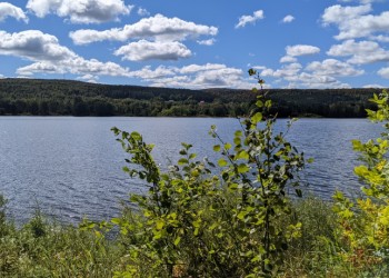 COMMUNIQUÉ - L’APLTI souligne dix ans de lutte