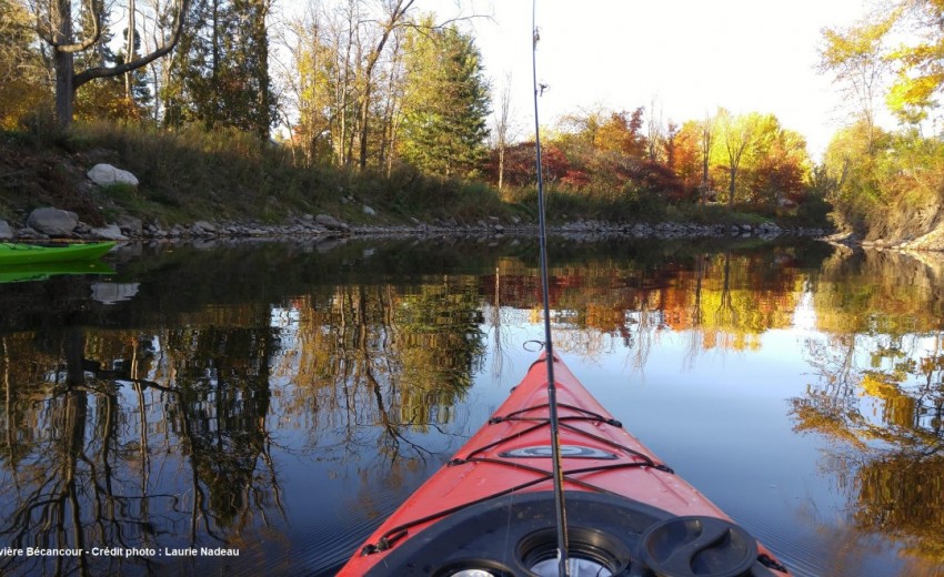 Amélioration de la qualité de l’eau des lacs William, Joseph et à la Truite d’Irlande 2021-2024