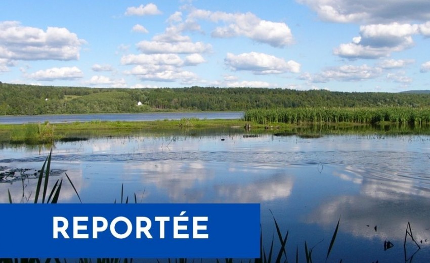 Dépistage des sources de contamination fécale sur deux affluents du lac à la Truite d’Irlande